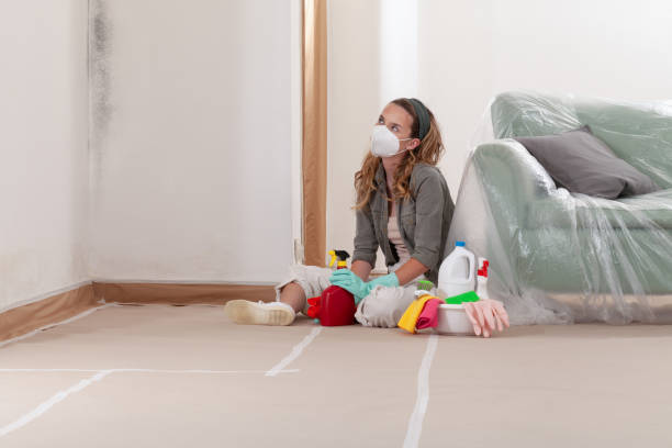 Reliable Mold Remediation contractor in Chandler, TX by Cheap Mold Removal